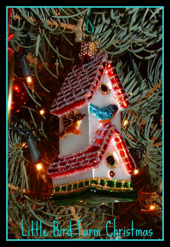 [2008_Christmas_birdhouse_cropped.jpg]