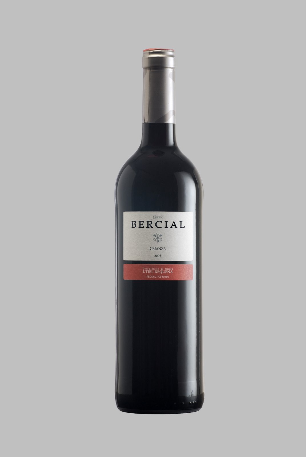 [cerro_bercial_unico_2005_cajacampo_gris.jpg]