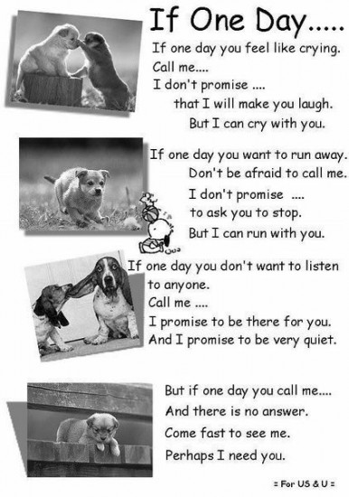 Inspirational I Dont Need You Quotes For Him Tumblr