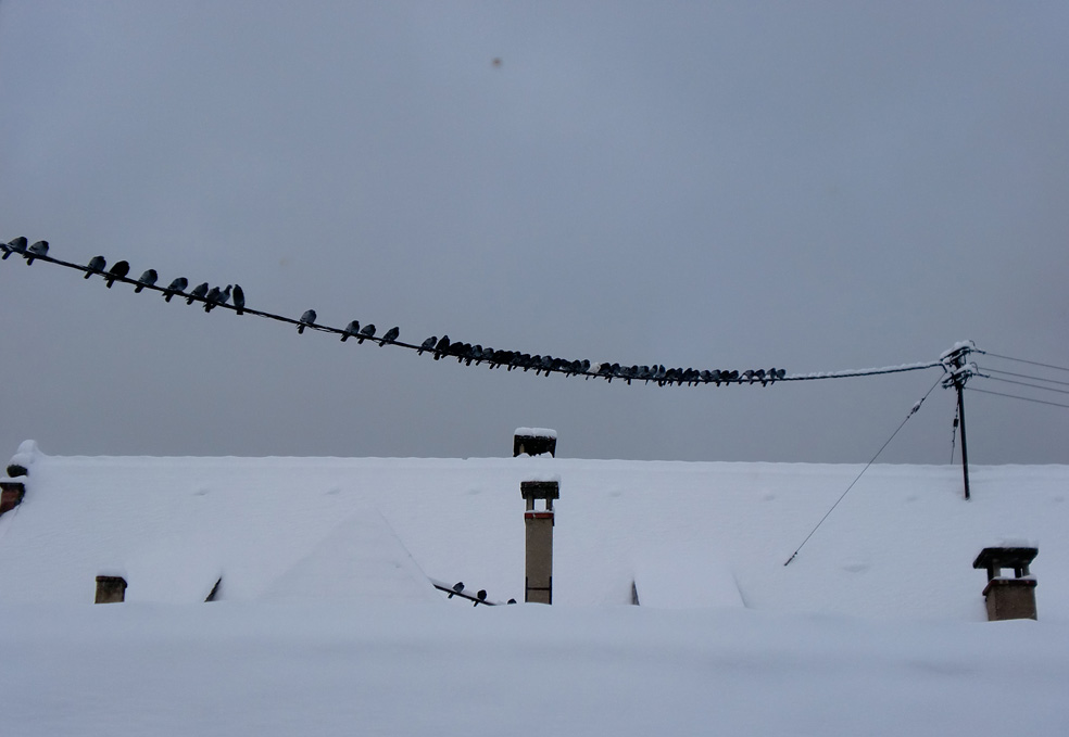 Stadt Calau Stadt Calau