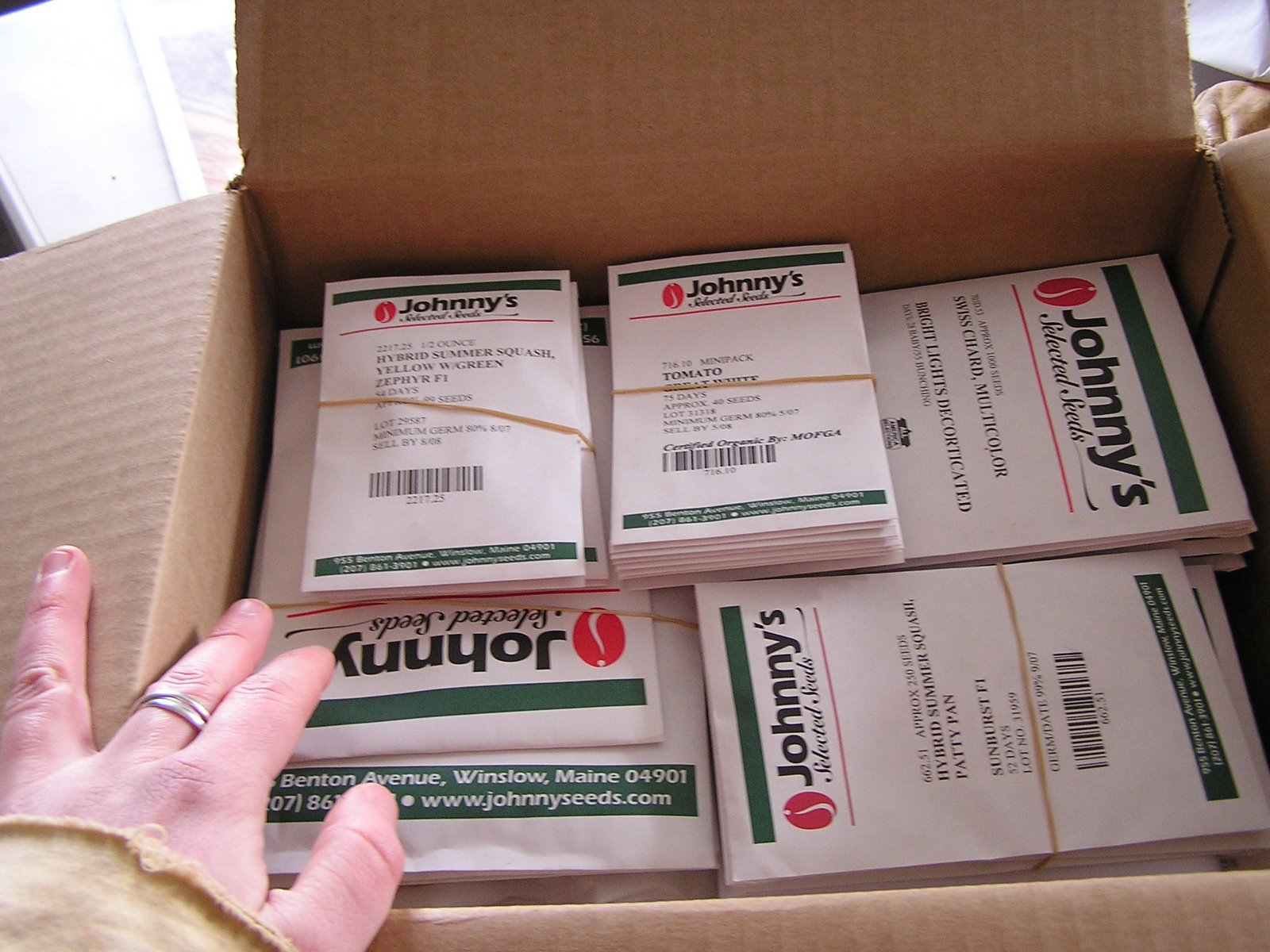 [February+2008+001.jpg]