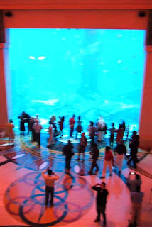 Dubai+mall+aquarium+wiki