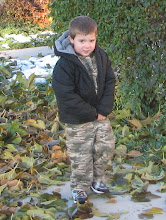 Autumn Fun