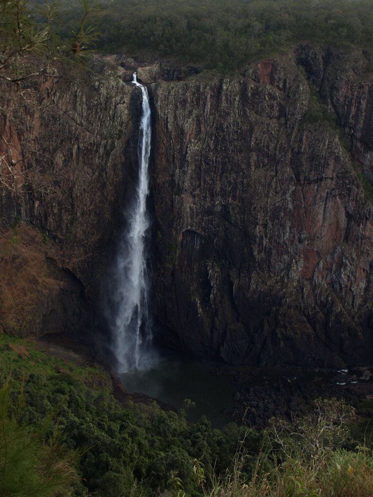 [P7110958.JPG]