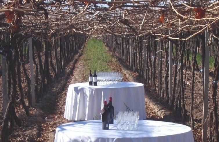 Evocaciones a la Carta y la Cata de Vinos...