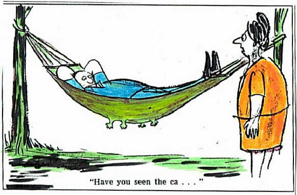 funny-cat-picture-kitty-squished-in-hammock-domestic-animal-cartoon.jpg