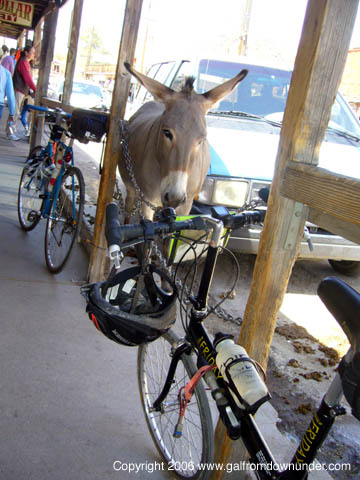 [Donkeybike.jpg]