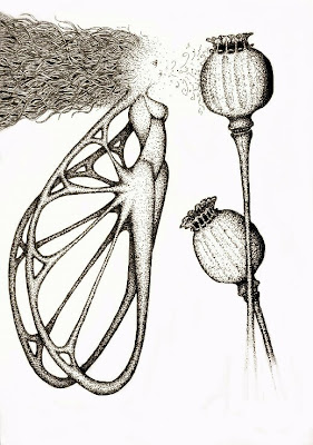 Awesome Fairy Drawings