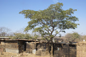 African Houses