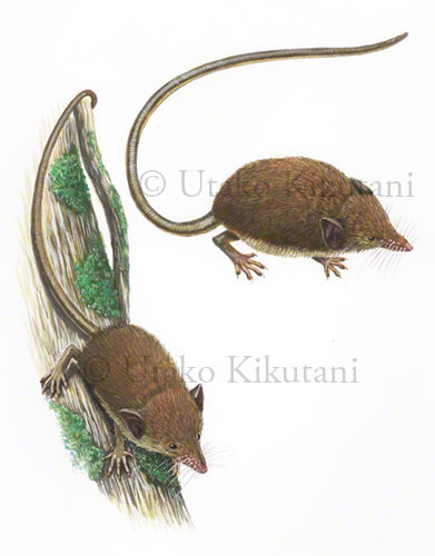 World+map+printable+with+latitude+and+longitude