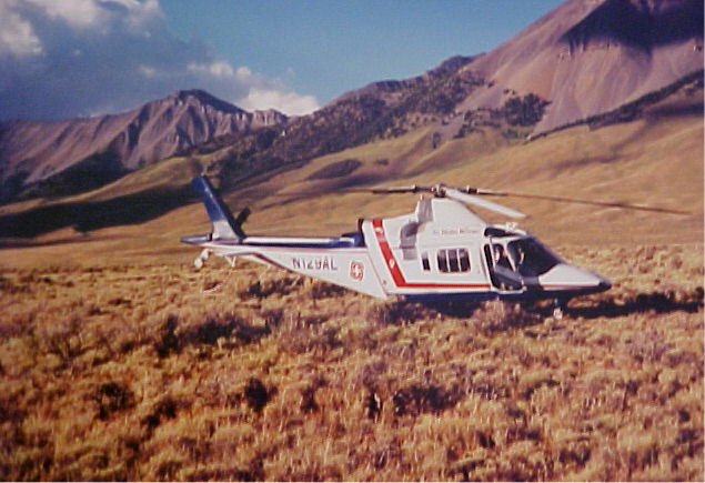 The Daily News 50 Peace Of Mind