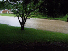 Flood of June 2008