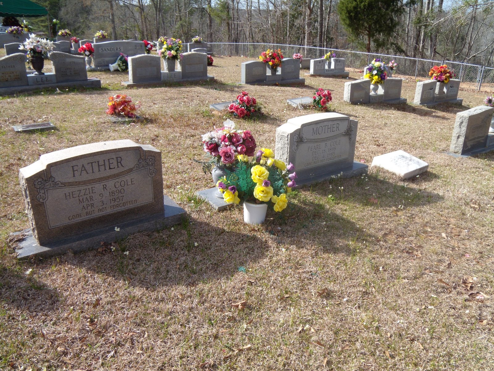 [DSCN1896.JPG]
