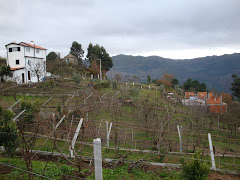 As vistas da Quinta do Senhor de Caldeira