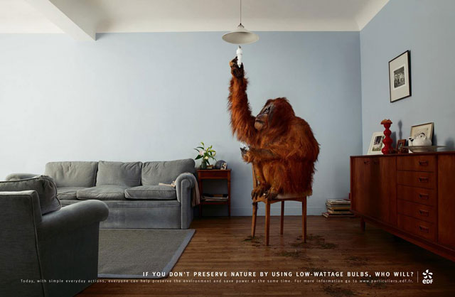 funny-ads18-edf-orangutan-advertisement