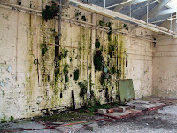 St Mary's Asylum, Stannington St Mary's Asylum, Stannington