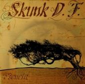 [skunk.jpg]
