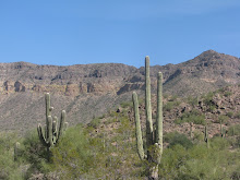 Phoenix landscape by Kerry