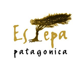Estepa Patagonica