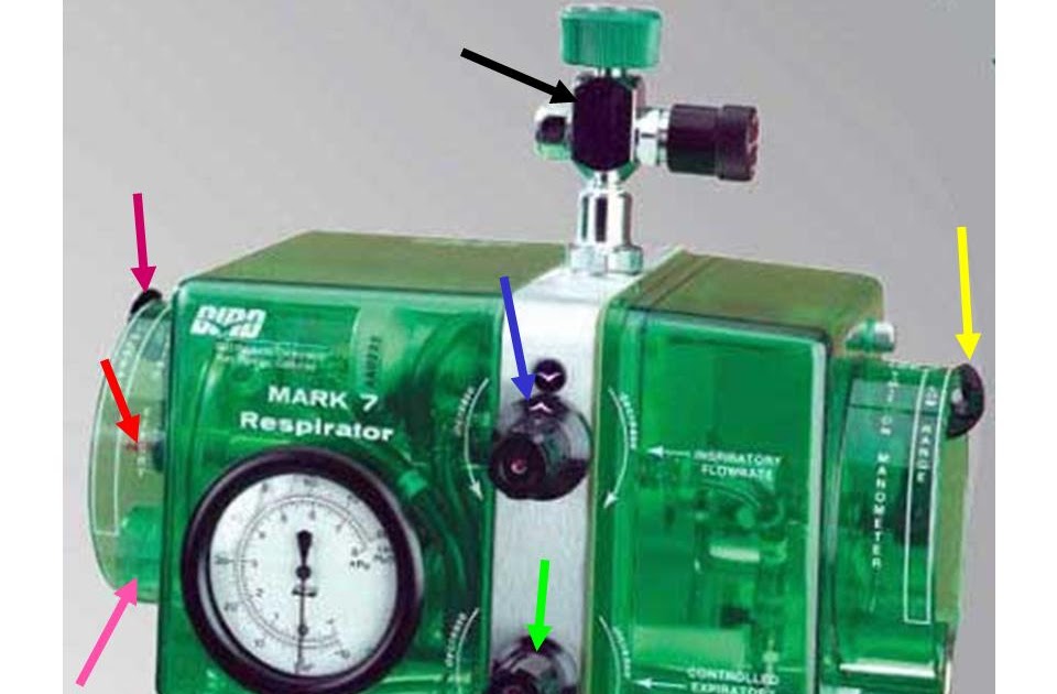 Phimaimedicine 177. Respirator [bird]