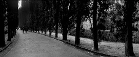 Serie: "En el camino" (2004 / 2005)