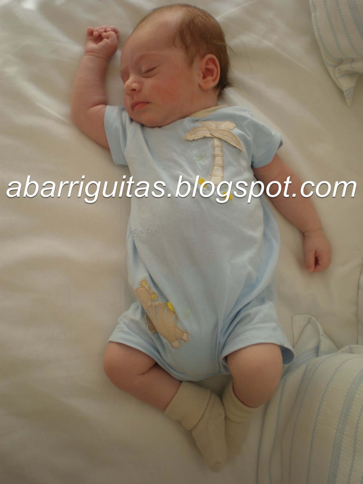 [Blog2meses.jpg]