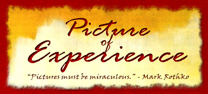 picture of experience