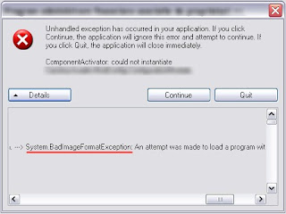 System-Bad-Image-Format-Exception