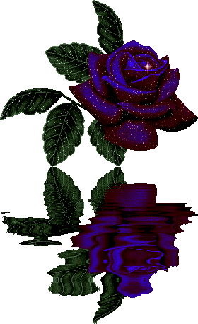 [3018.gif]