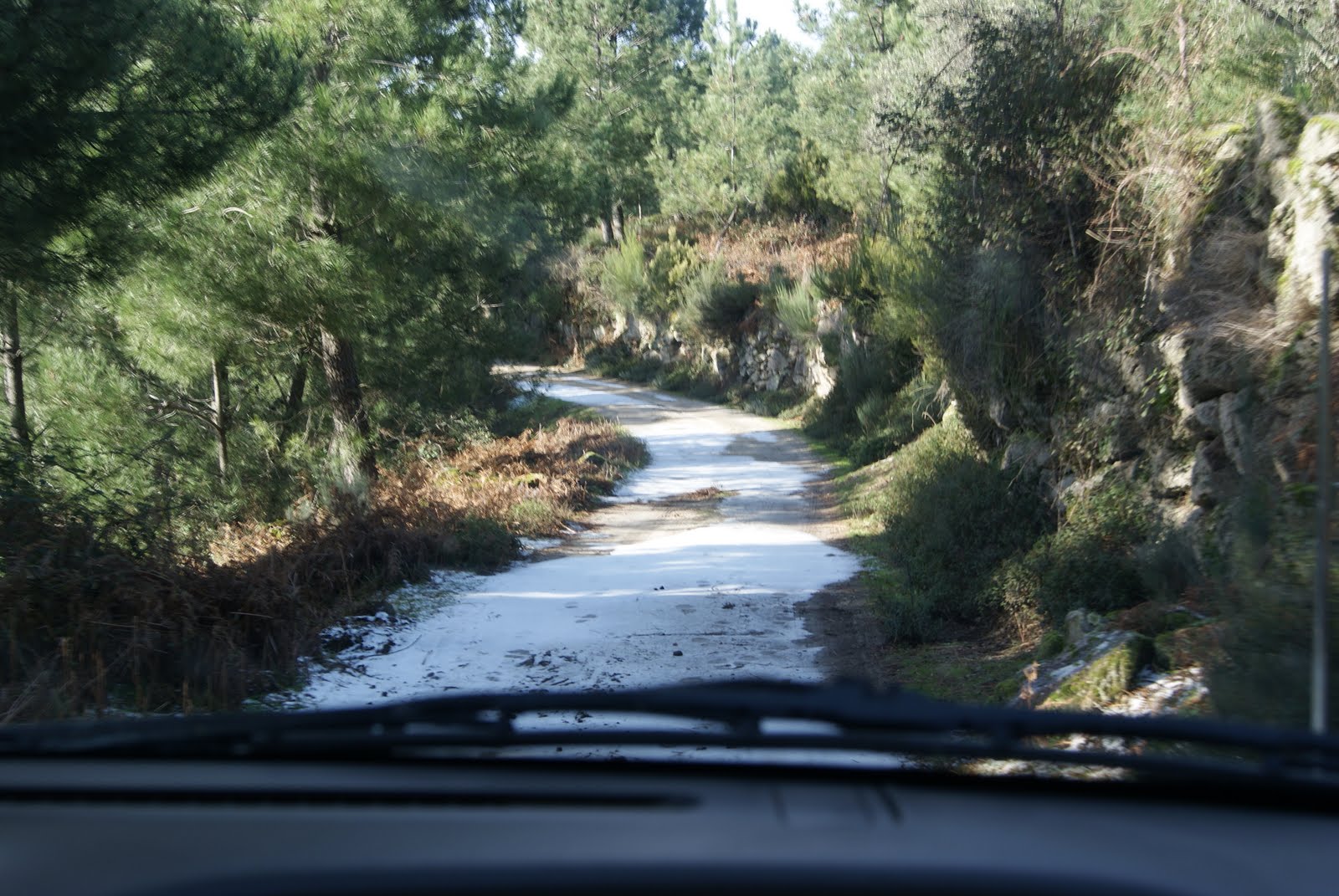 [DSC01295.JPG]
