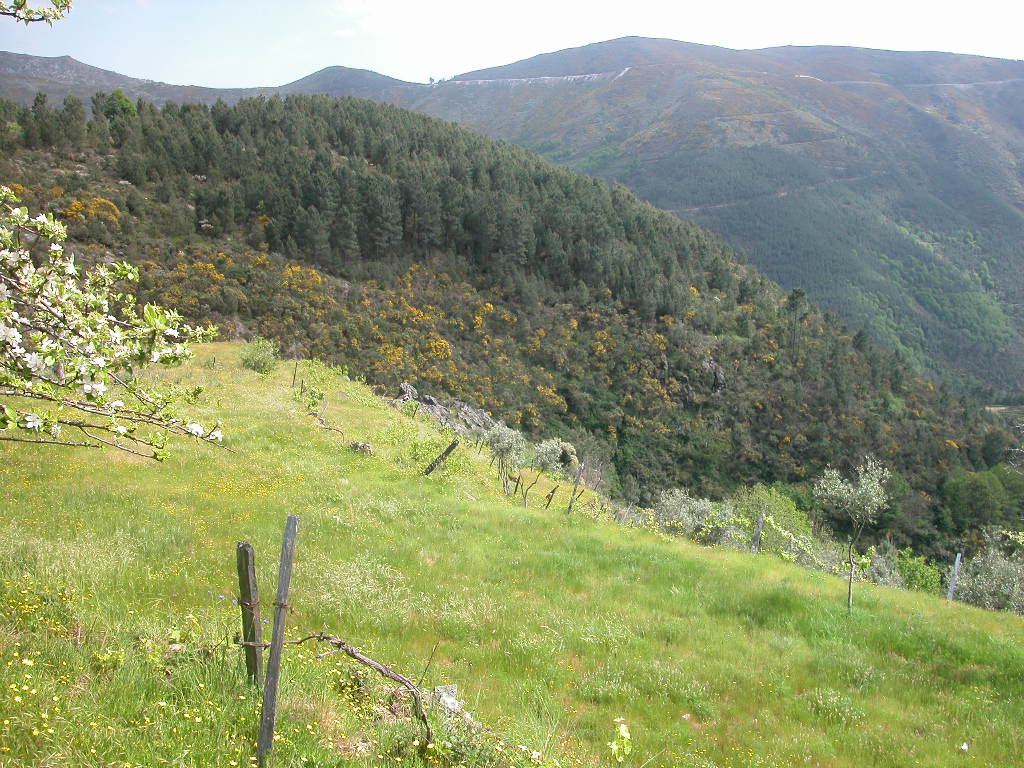 [Cópia+de+DSCN0199.JPG]