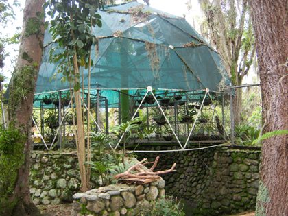 Recuperación del Orquídeario del Parque la Isla (Estado Mérida)