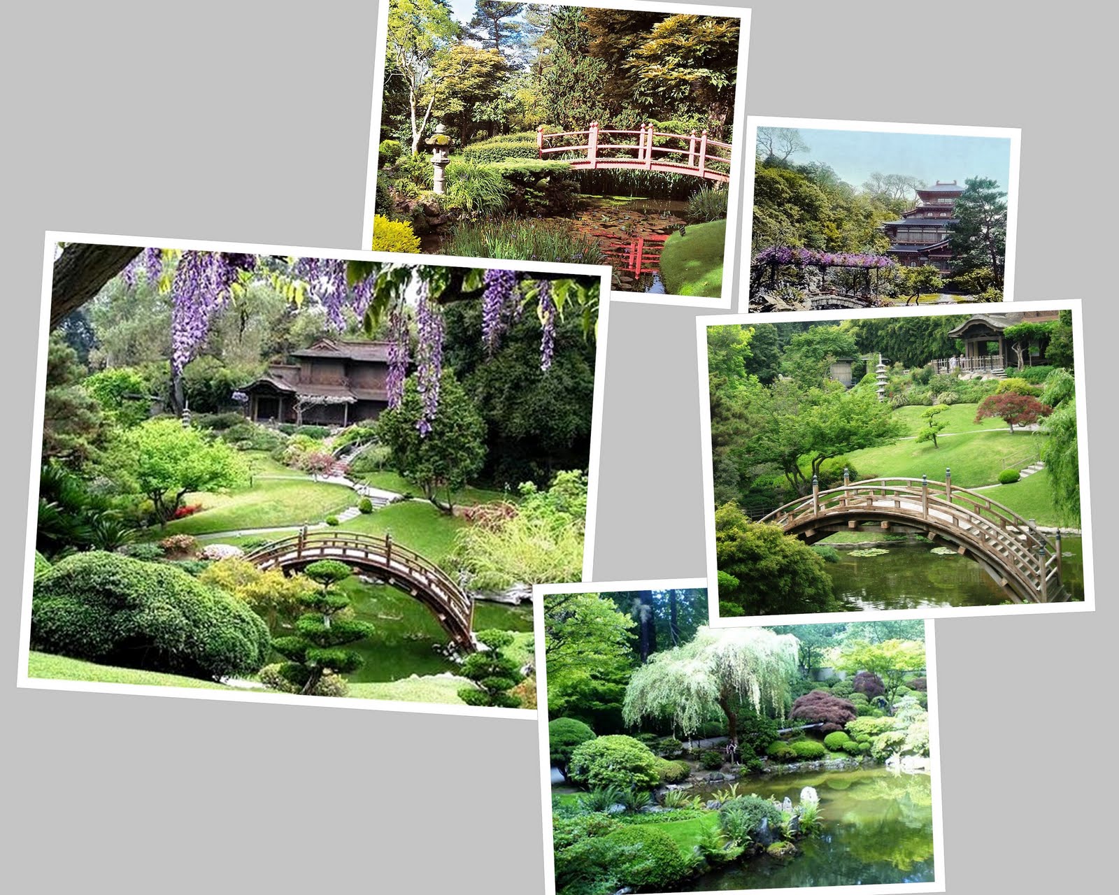 Recollections of a Vagabonde: A Tour of the Japanese Garden in Long