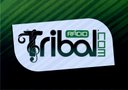 Radio Tribal - Conectando todas as Tribos