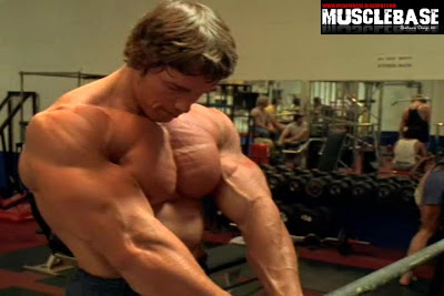 Arnold Golds Gym