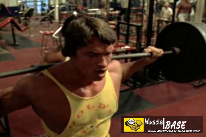 arnold schwarzenegger workout pictures. arnold schwarzenegger workout