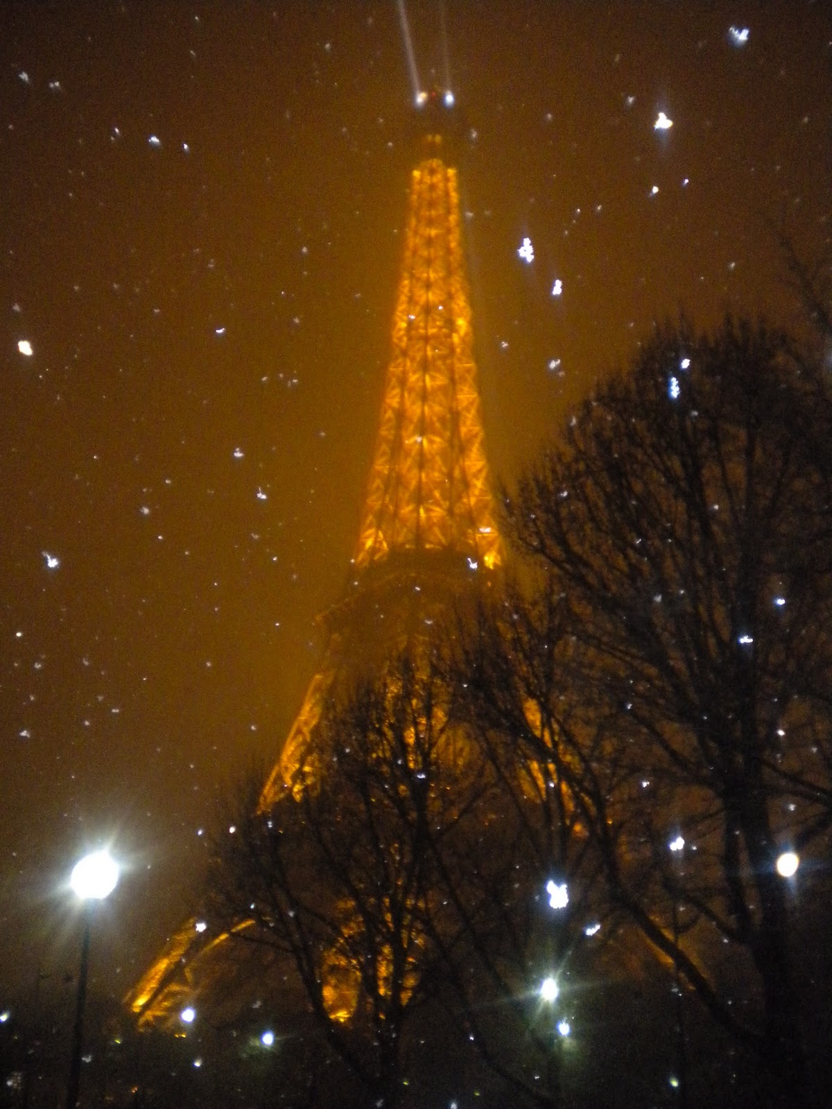 Tres Chic!: Joyeux Noël à Paris!