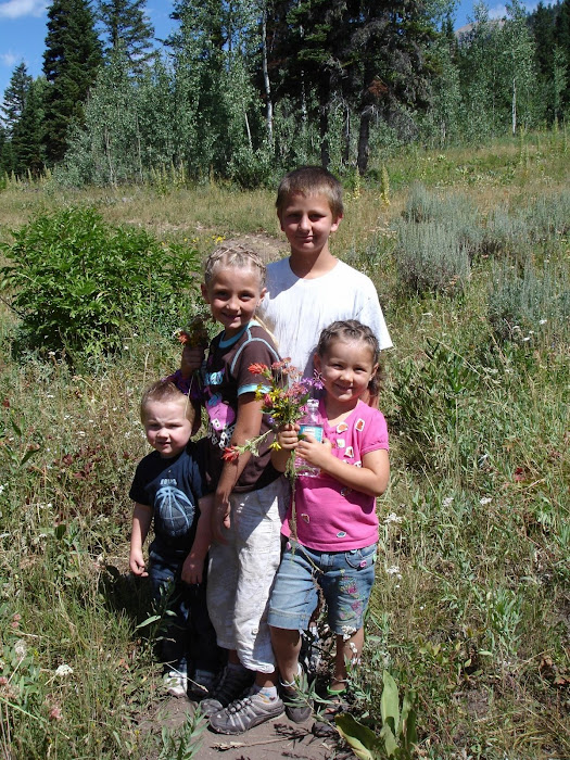 Ploehn Family Vacation Jackson