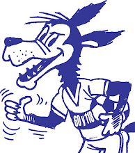 Podrá ser héroe el que triunfa o el que sucumbe, pero jamás el que abandona el combate