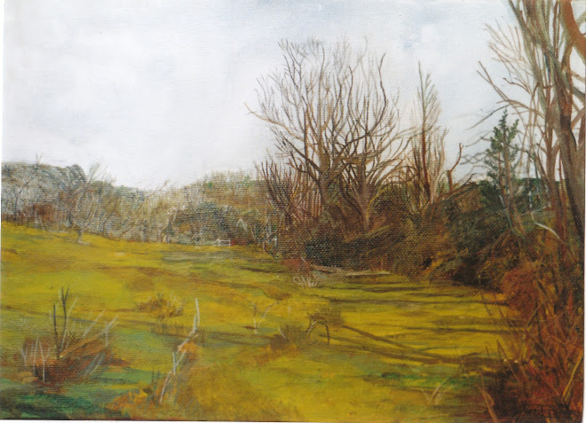 Petit paysage de bord de ruisseau.