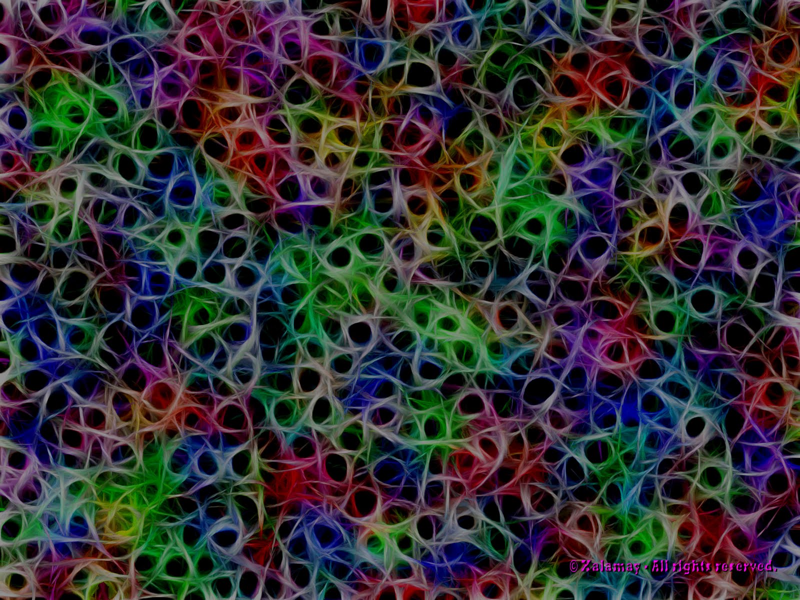 [Chromatic+Coral+(2272+x+1704).jpg]