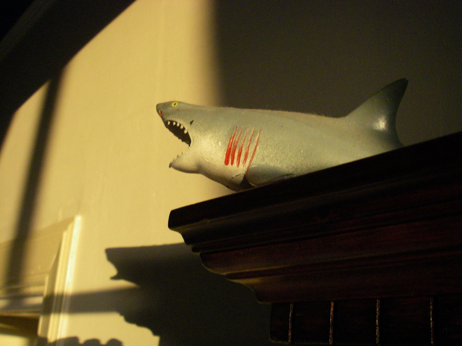[Shark+Shadow.JPG]