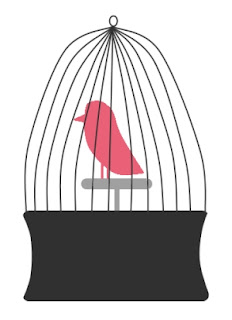 bird in cage