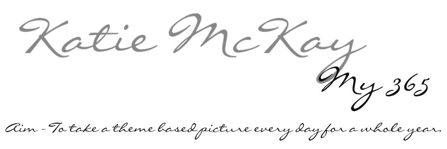 Katie's 365