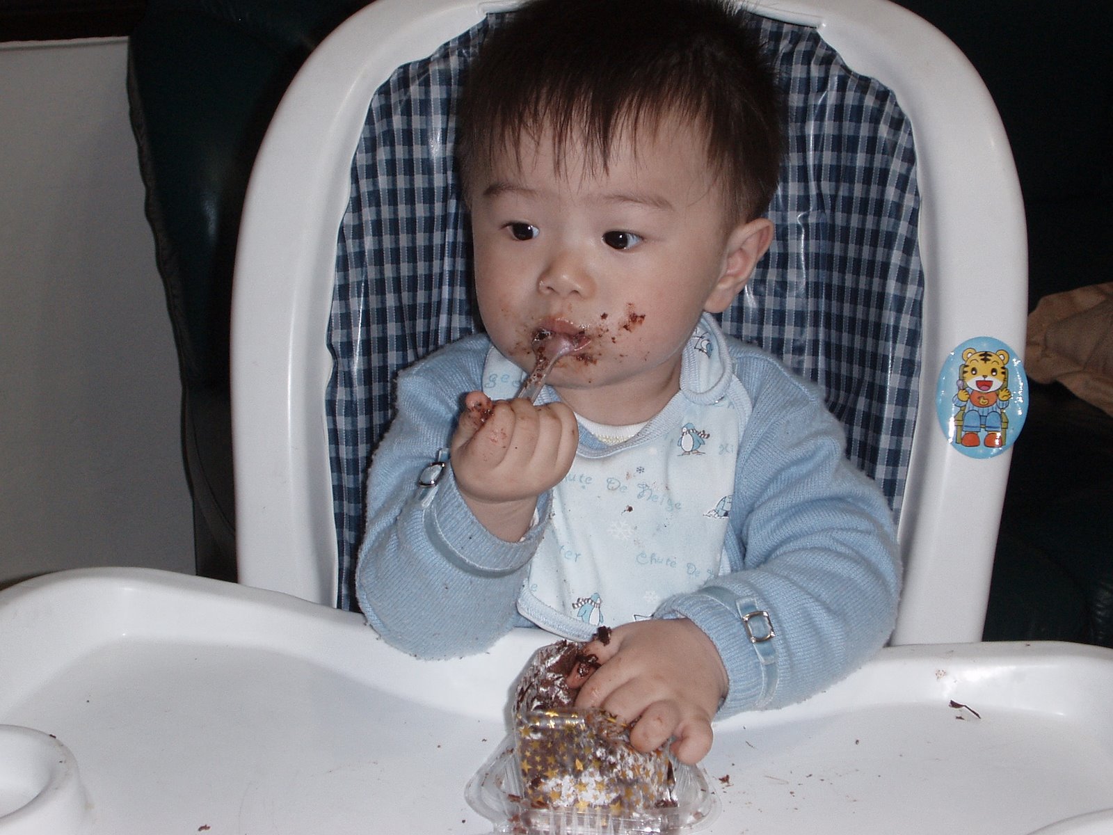 [P3110494.JPG]
