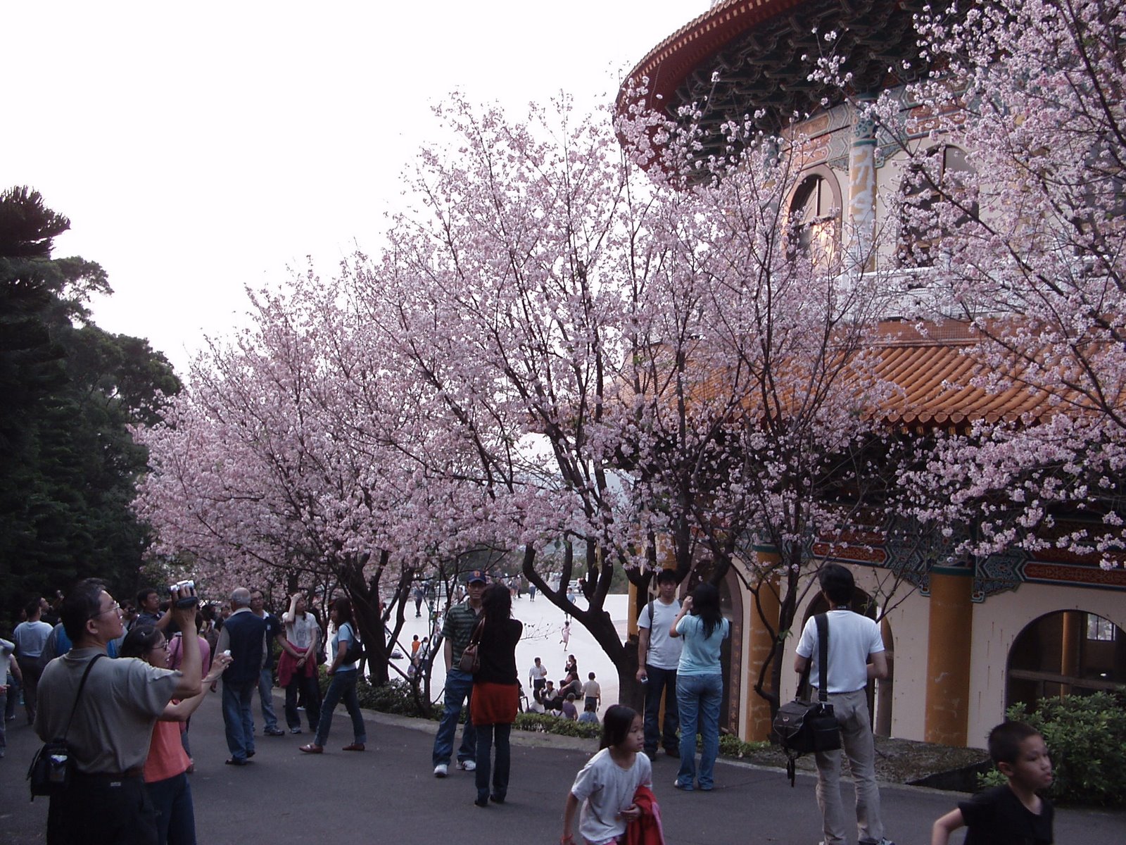 [P3310254.JPG]