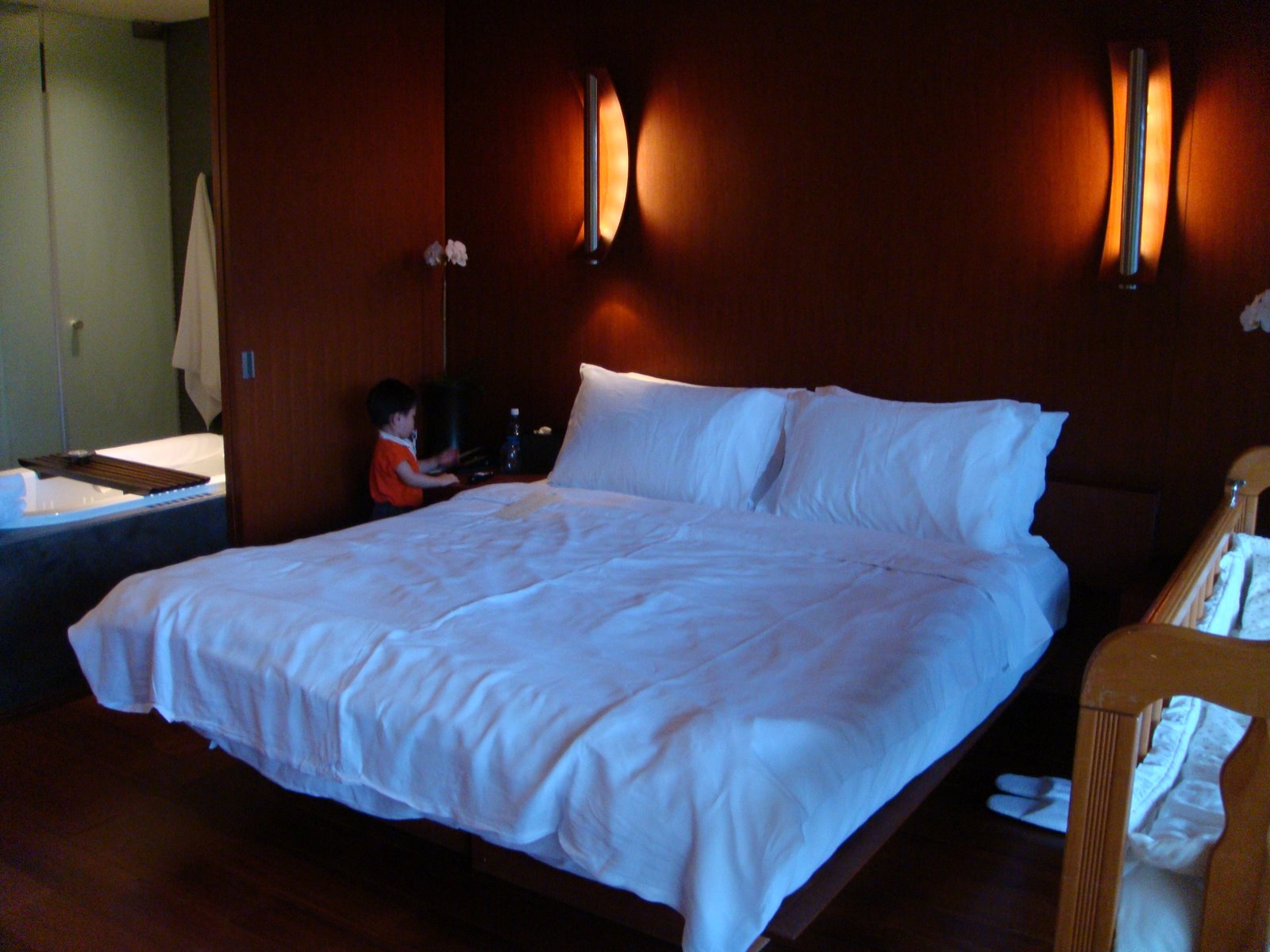 [DSC01241.JPG]