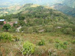 "Los Palmares", entre Las Cumbres y La Mulata: