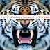 30 Seconds To Mars - This Is War