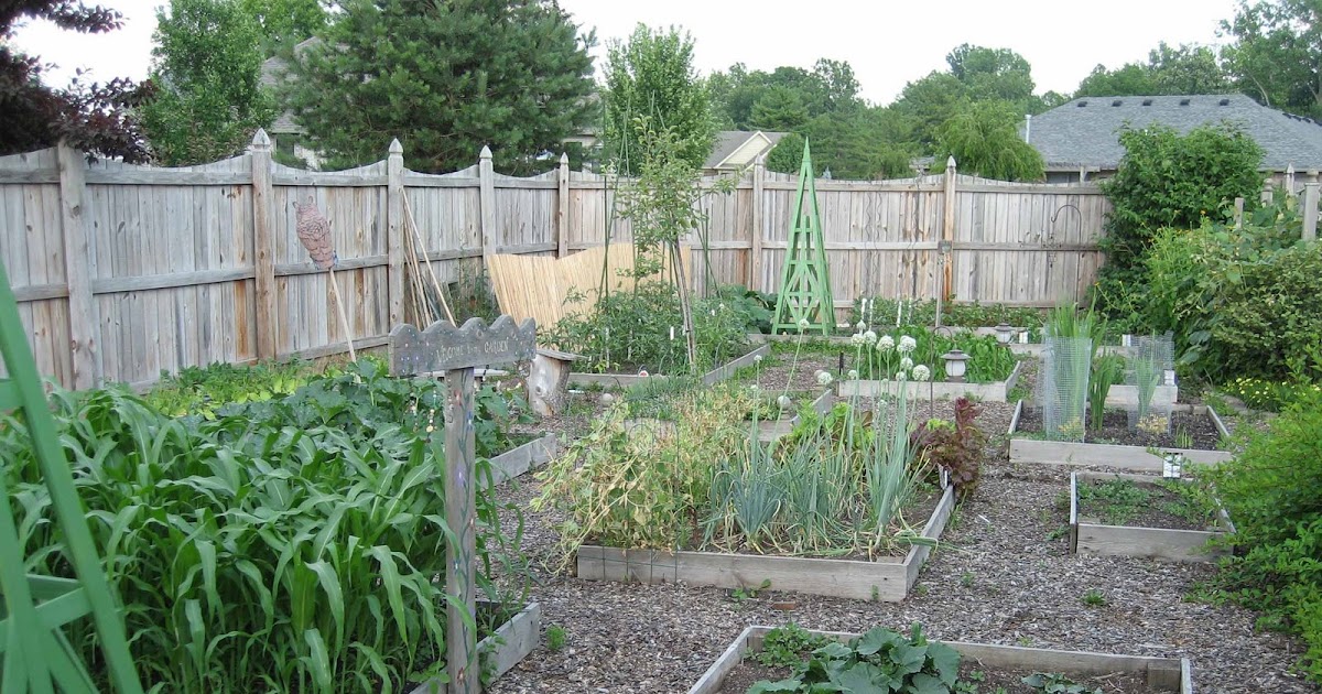 May Dreams Gardens: How Big Is Your Vegetable Garden